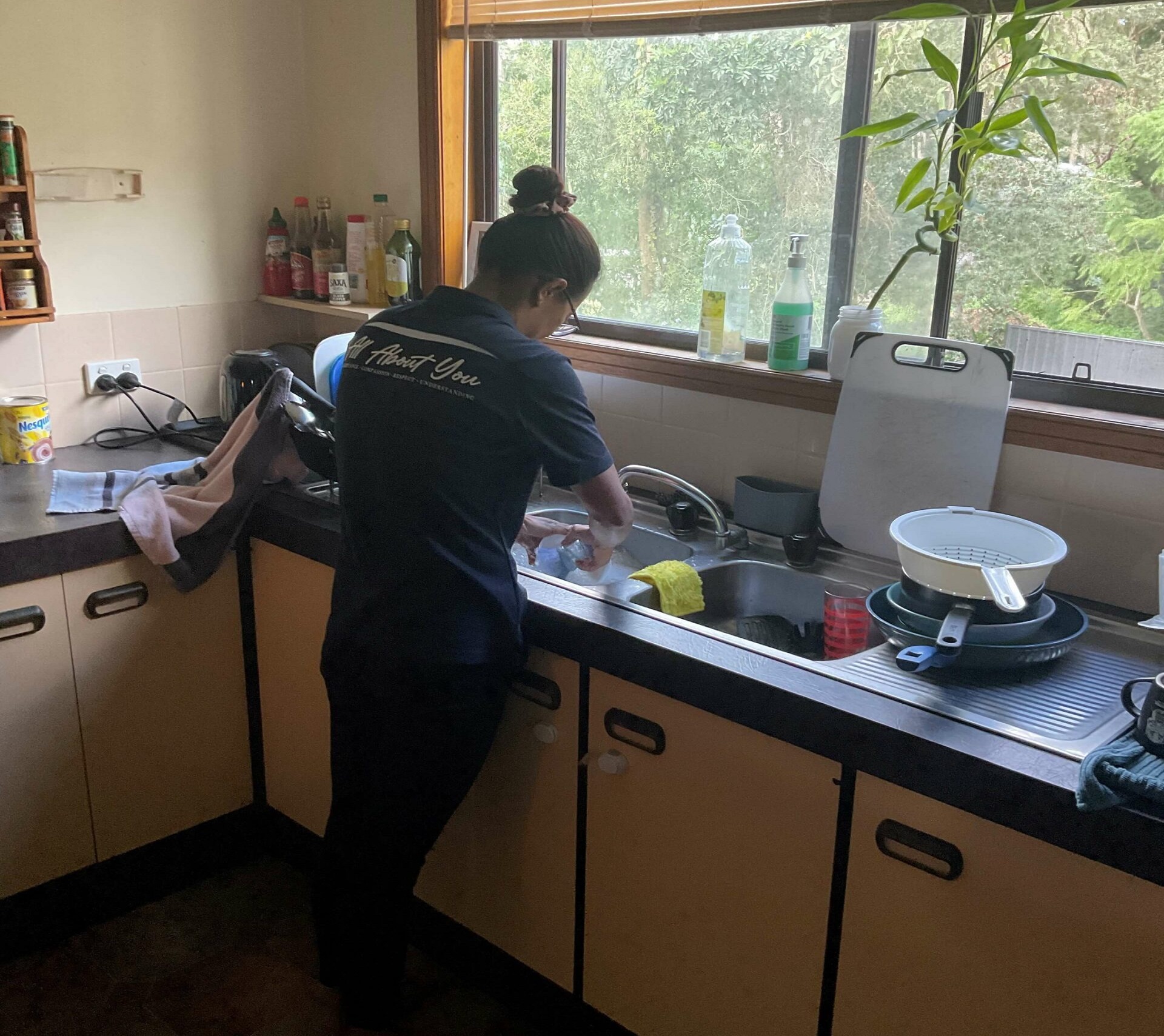 Domestic Assistance